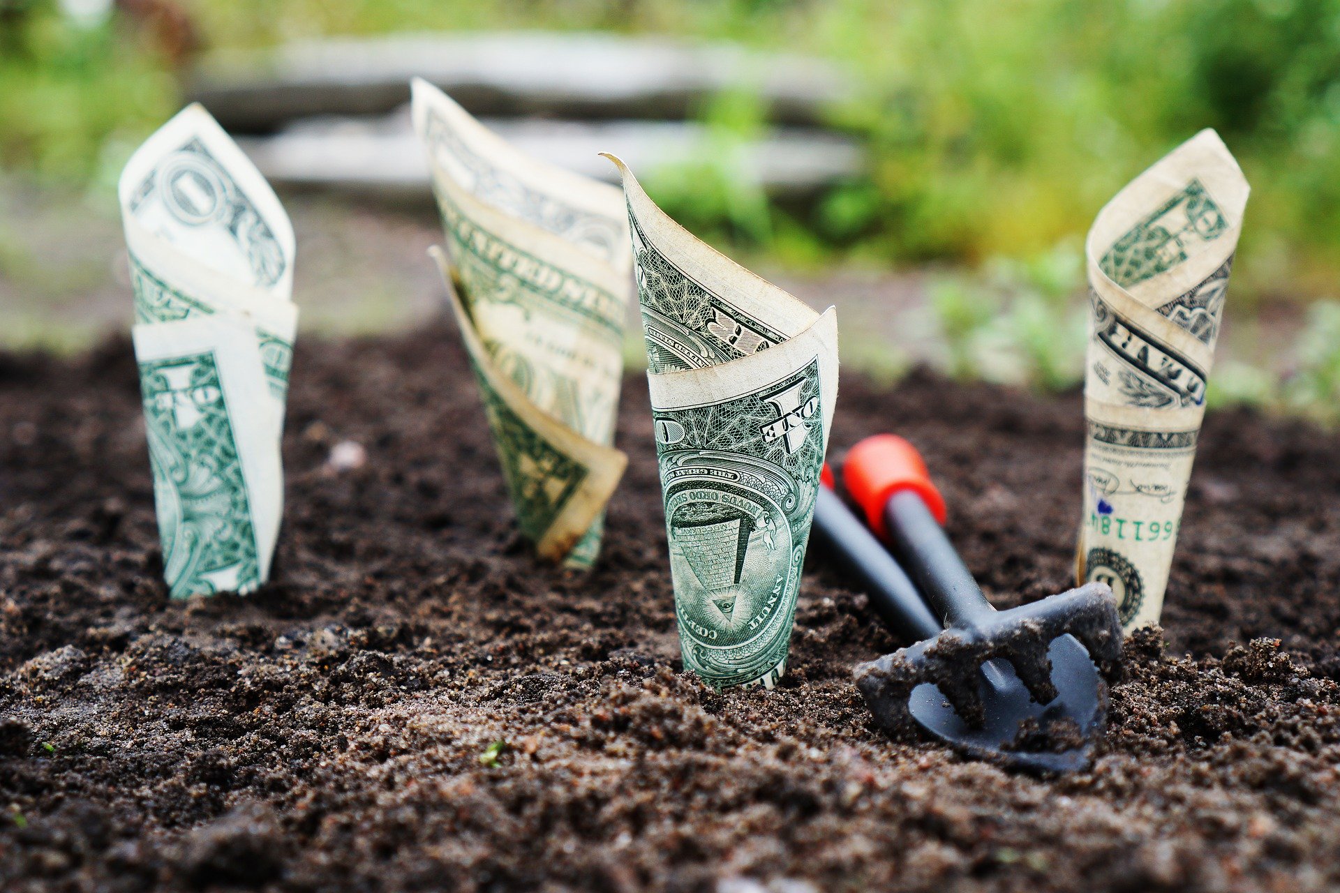 JC Project Freedom Invest with SRS