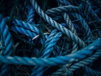 JC Project Freedom May Options Fund 2021