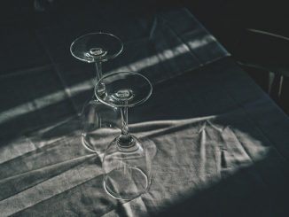 JC Project Freedom July 2021 JC Options fund